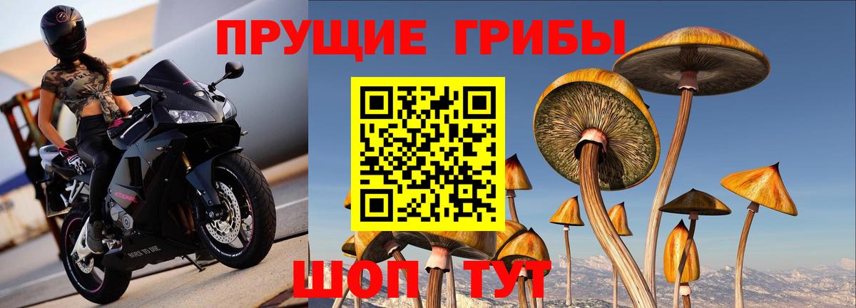 Маркс  Галлюциногенные грибы ЛСД  сколько стоит  Вход с VPN 