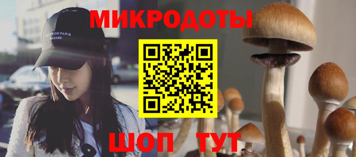 Псилоцибиновые грибы Psilocybine cubensis Маркс